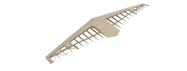 FVT3 (v3)  Prandtl Wing