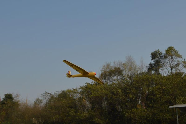 Tony Ray 1:6 DFS Kranich II 3000mm [kit-to-build] TRGS016