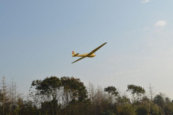 Tony Ray 1:6 DFS Kranich II 3000mm [kit-to-build] TRGS016