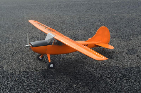 Tony Ray Cessna L-19 Bird Dog 750mm [kit-to-build] TRPFS031