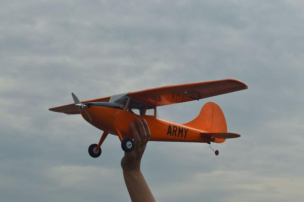 Tony Ray Cessna L-19 Bird Dog 750mm [kit-to-build] TRPFS031
